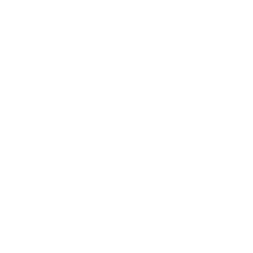 White wordmark